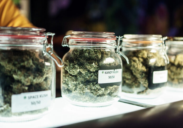 Можно ли купить марихуану в амстердаме выращивание конопли в спб