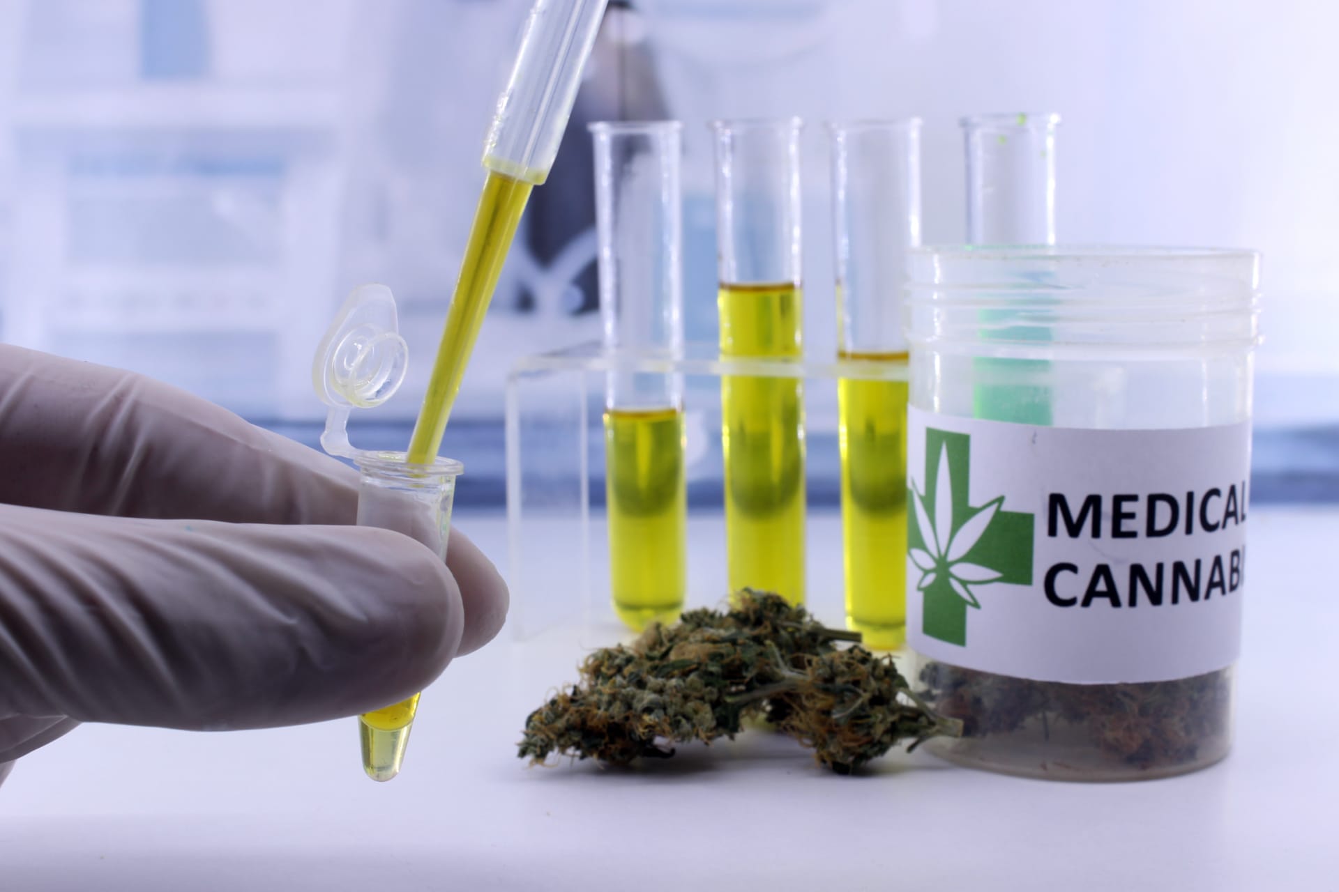 Laboratory technician holds dropper with golden cannabis extract above test tubes containing yellow-green liquid, with dried cannabis flower and a medical cannabis container